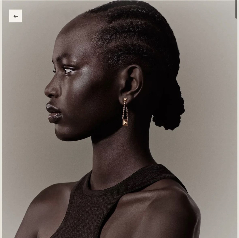 H**me5 earrings